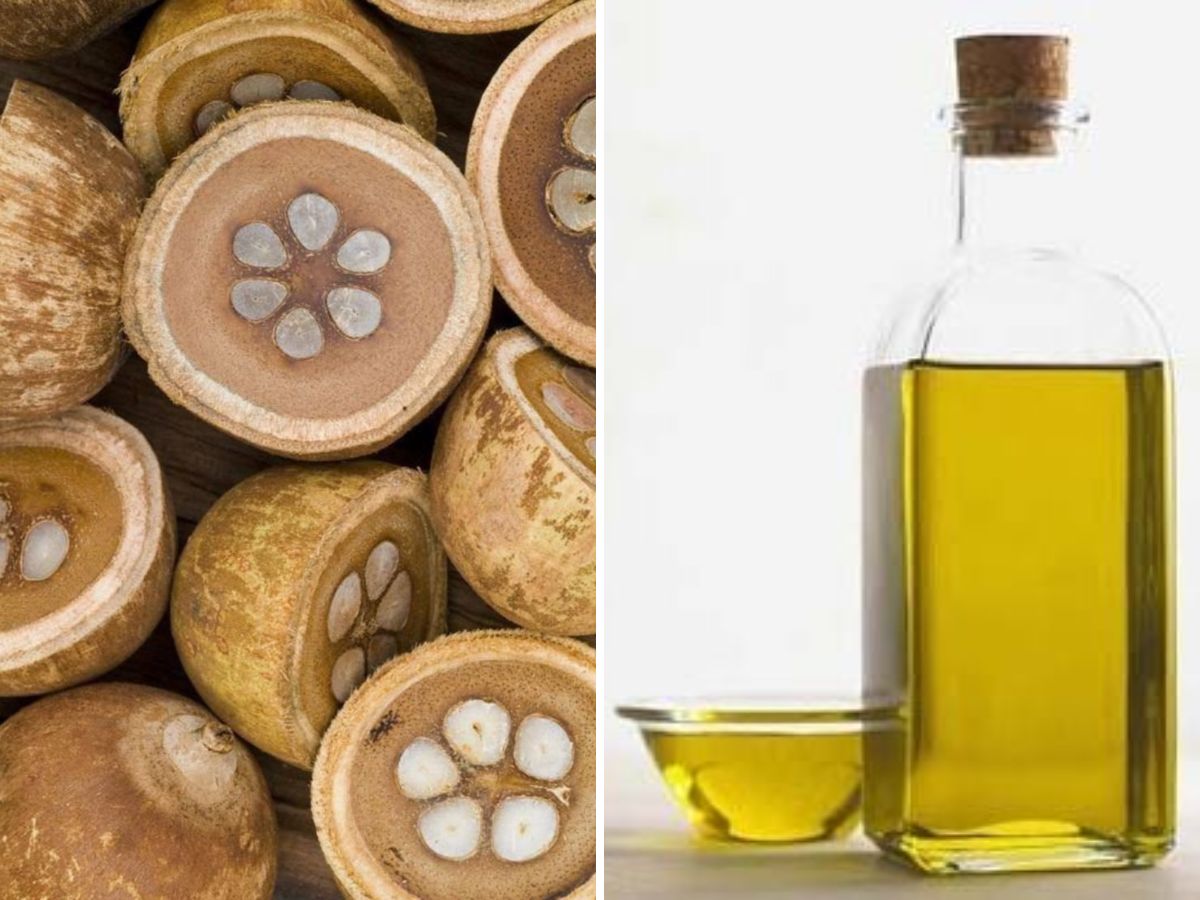 Babassu Oil(Image Credit-Pinterest) - Photo Gallery