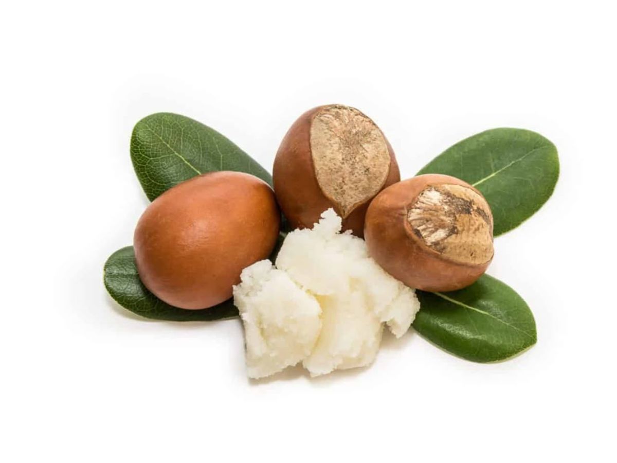 Shea Butter(Image Credit-Pinterest) - Photo Gallery