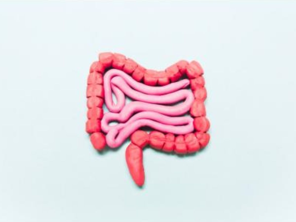Top 6 Red Flags Of Gut Health You Should Not Ignore - Photo Gallery