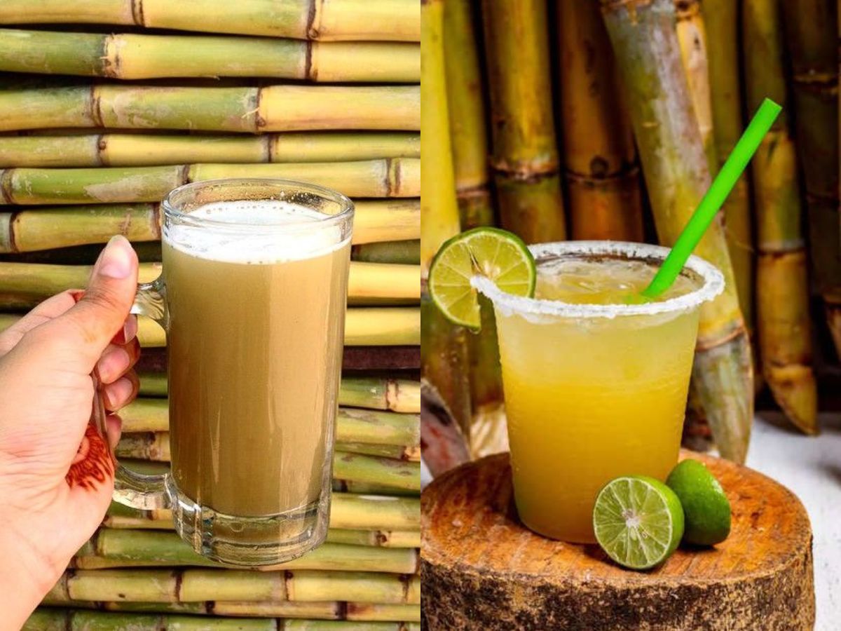 Budget Friendly Alternatives To  Costly Coconut Water That Keep You Cool and Healthy - Photo Gallery