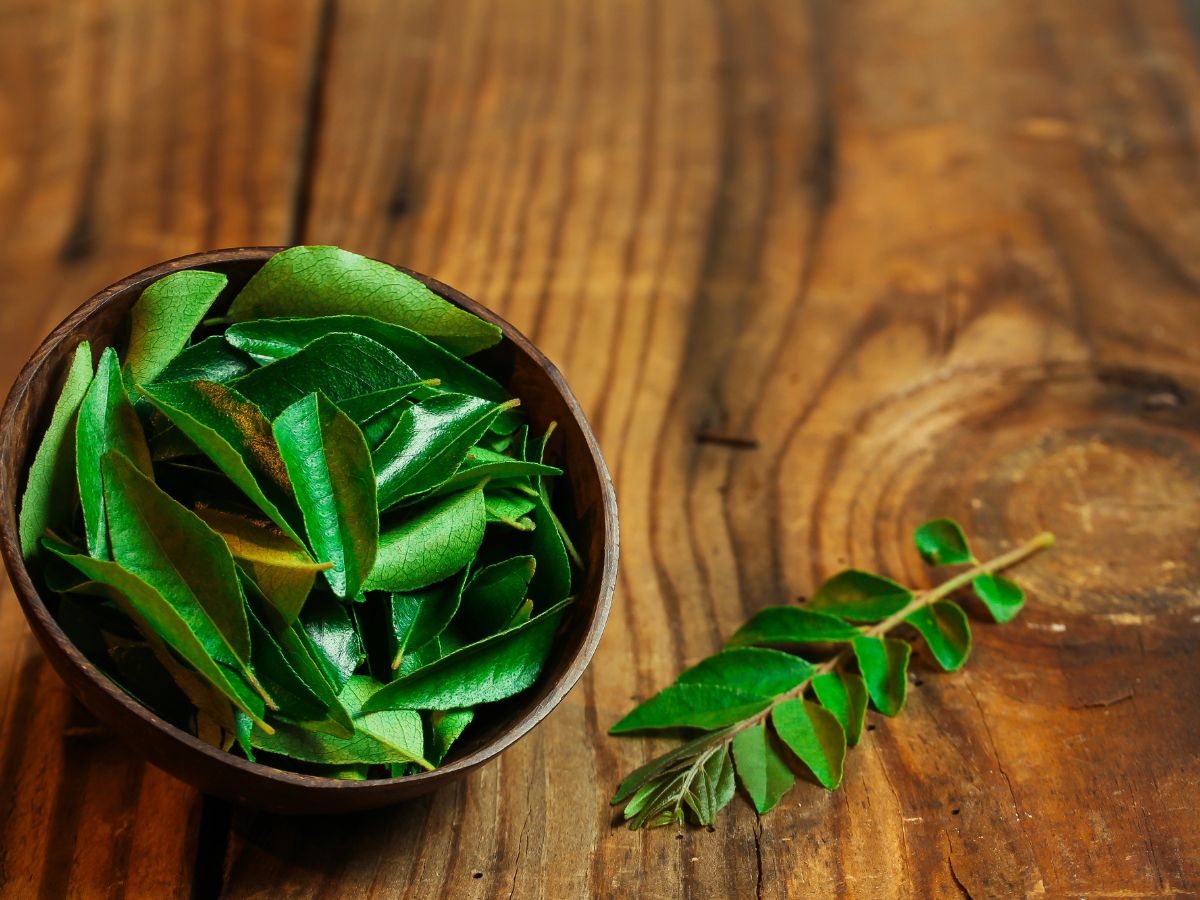 7-amazing-health-benefits-of-curry-leaves-you-should-know 7 Amazing Health Benefits of Curry Leaves You Should Know - Photo Gallery