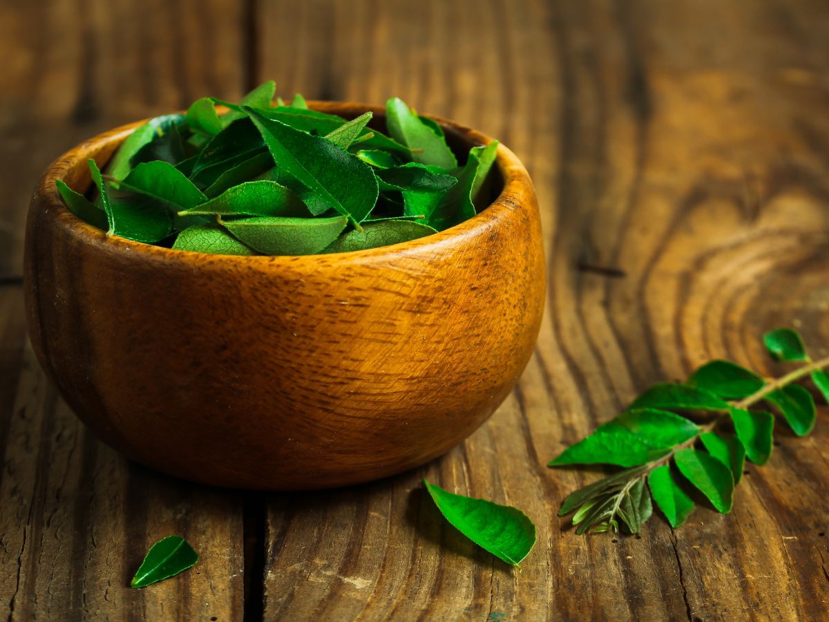 7-amazing-health-benefits-of-curry-leaves-you-should-know 7 Amazing Health Benefits of Curry Leaves You Should Know - Photo Gallery