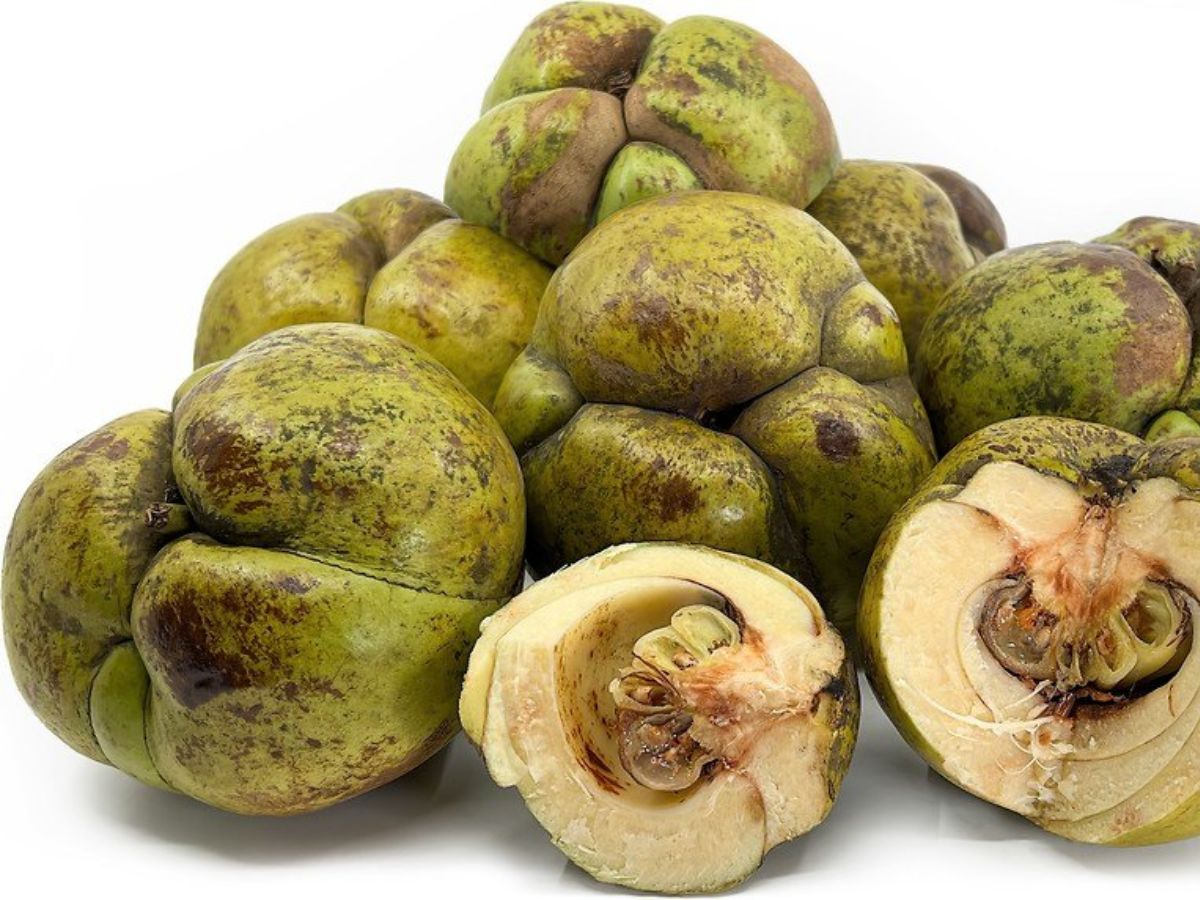 5-forgotten-local-fruits-comeback-health-benefits India’s Forgotten Fruits: 5 Local Fruits Making a Comeback for Better Health - Photo Gallery