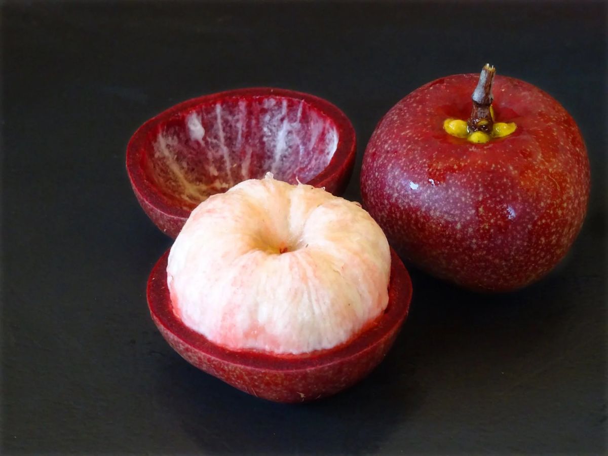 5-forgotten-local-fruits-comeback-health-benefits India’s Forgotten Fruits: 5 Local Fruits Making a Comeback for Better Health - Photo Gallery