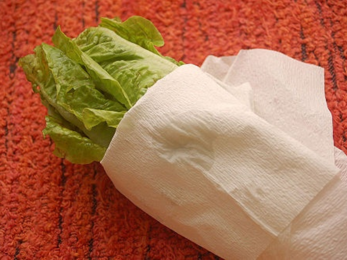 keep-it-fresh-diy-hacks-to-extend-produce-shelf-life Image Credit: Pinterest - Photo Gallery