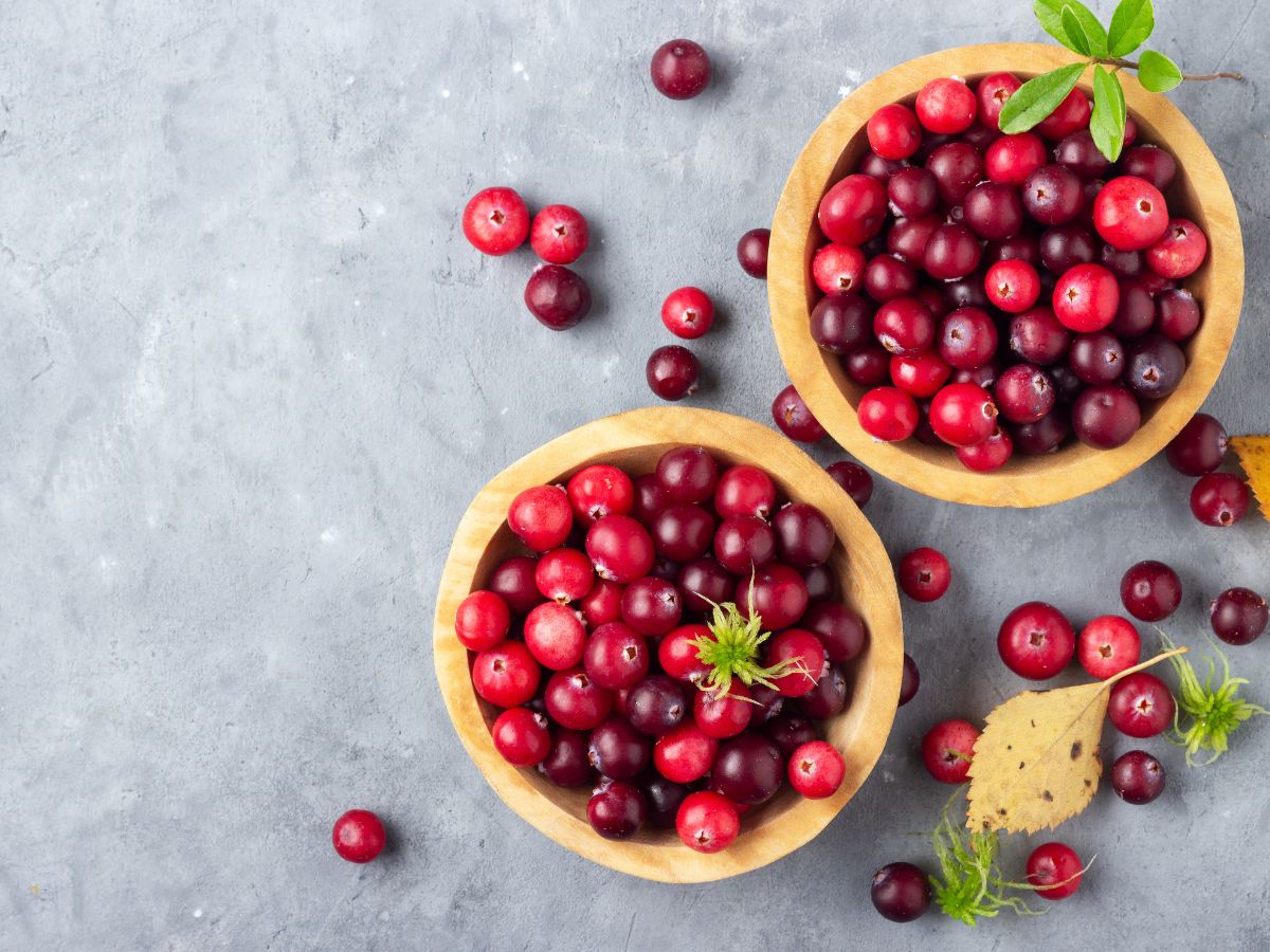 Why You Should Consume Cranberries for Breakfast? - Photo Gallery