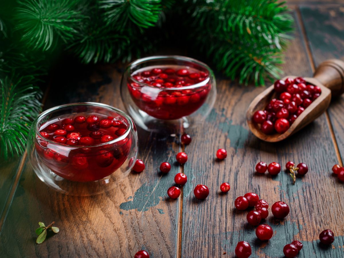 Why You Should Consume Cranberries for Breakfast? - Photo Gallery
