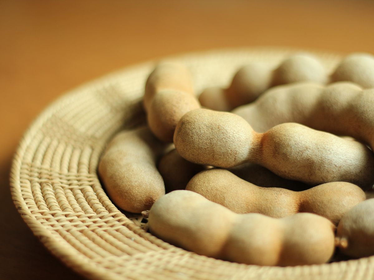 6-amazing-reasons-to-add-tamarind-imli-to-your-diet-tamarind-imli-health-benefits-natural-remedy 6 Amazing Reasons to Add Tamarind (Imli) to Your Diet - Photo Gallery