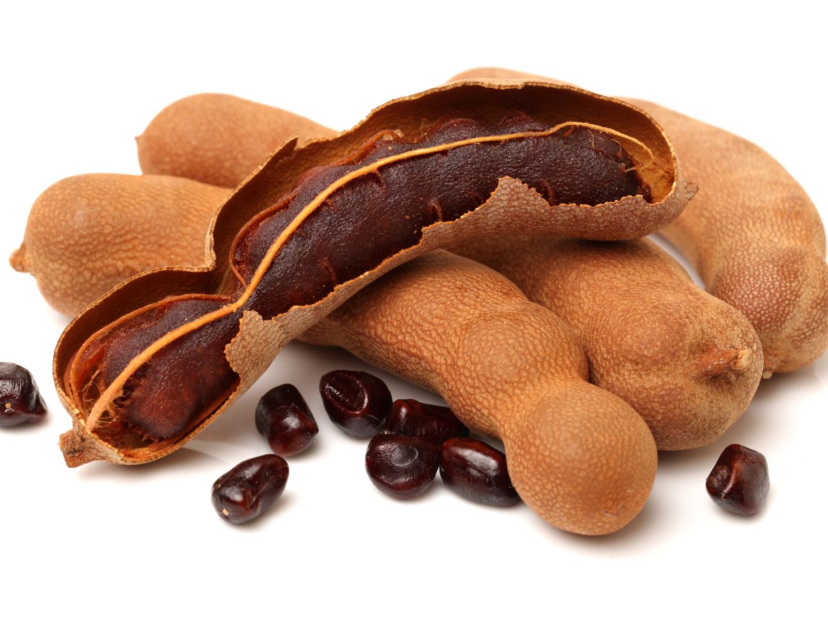 6-amazing-reasons-to-add-tamarind-imli-to-your-diet-tamarind-imli-health-benefits-natural-remedy 6 Amazing Reasons to Add Tamarind (Imli) to Your Diet - Photo Gallery