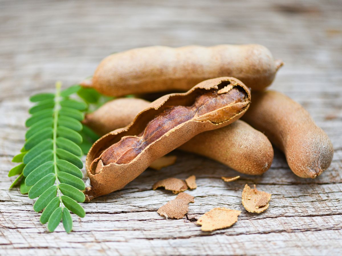 6-amazing-reasons-to-add-tamarind-imli-to-your-diet-tamarind-imli-health-benefits-natural-remedy 6 Amazing Reasons to Add Tamarind (Imli) to Your Diet - Photo Gallery