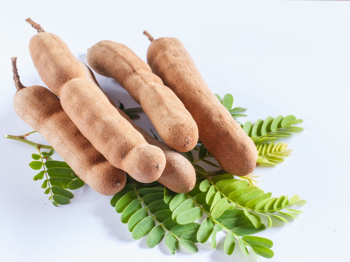 6-amazing-reasons-to-add-tamarind-imli-to-your-diet-tamarind-imli-health-benefits-natural-remedy 6 Amazing Reasons to Add Tamarind (Imli) to Your Diet - Photo Gallery