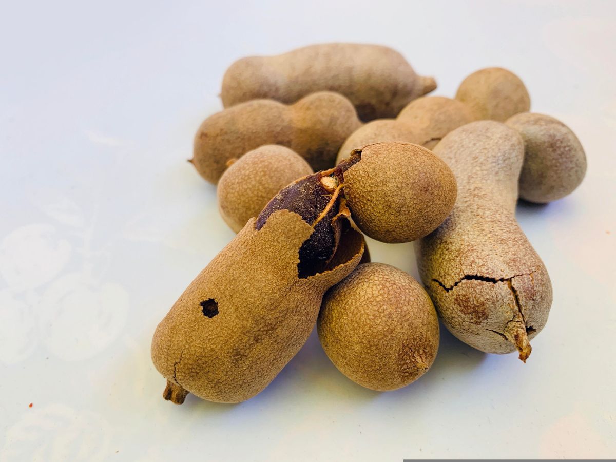 6-amazing-reasons-to-add-tamarind-imli-to-your-diet-tamarind-imli-health-benefits-natural-remedy 6 Amazing Reasons to Add Tamarind (Imli) to Your Diet - Photo Gallery