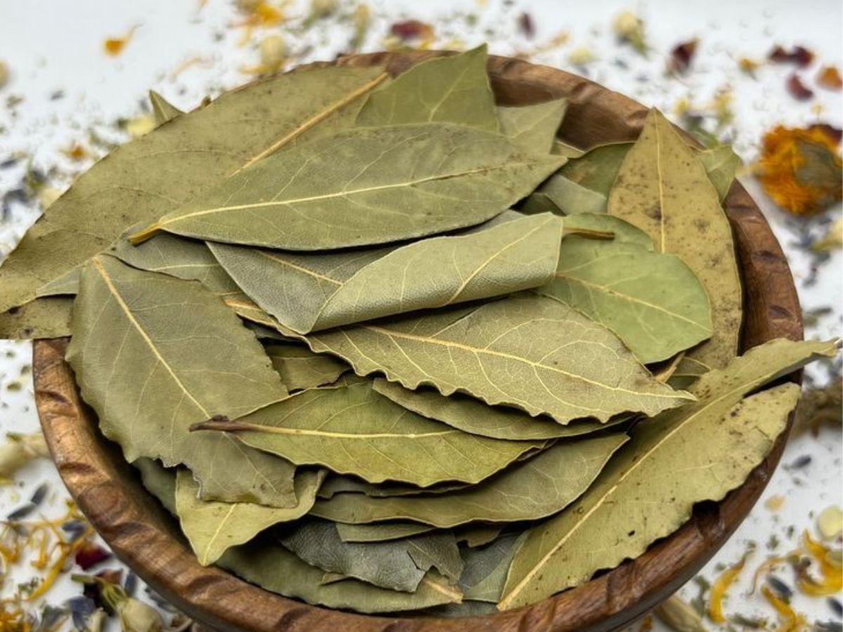 Foul Smell?? Try Out These Traditional Methods To Remove Unpleasant Odors and Blossom Your Room - Photo Gallery