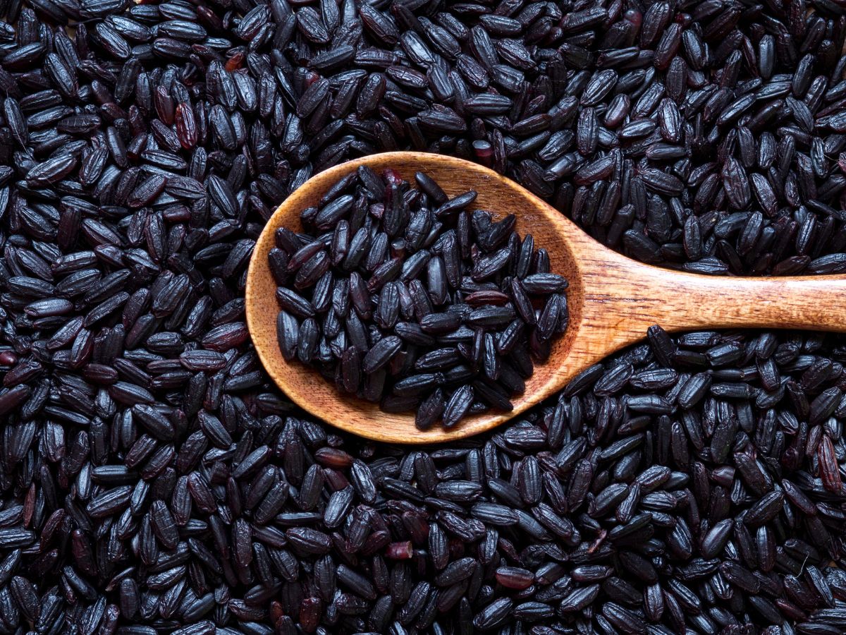 7-traditional-indian-fermented-drinks-that-improve-digestion-and-gut-health 7 Traditional Indian Fermented Drinks That Improve Digestion And Gut Health - Photo Gallery