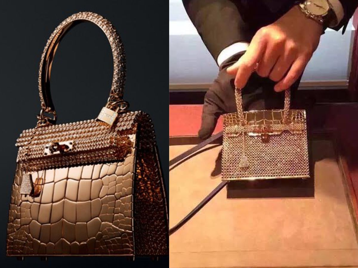 opulence-in-a-handle-the-5-costliest-handbags-of-all-time-in-pics Image Credit- X - Photo Gallery
