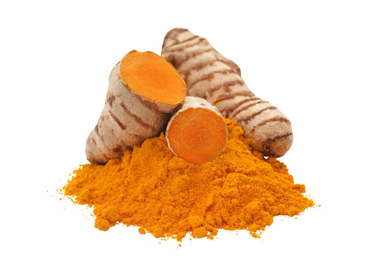 Top 6 Foods That Improve Brain Function and Memory - Photo Gallery