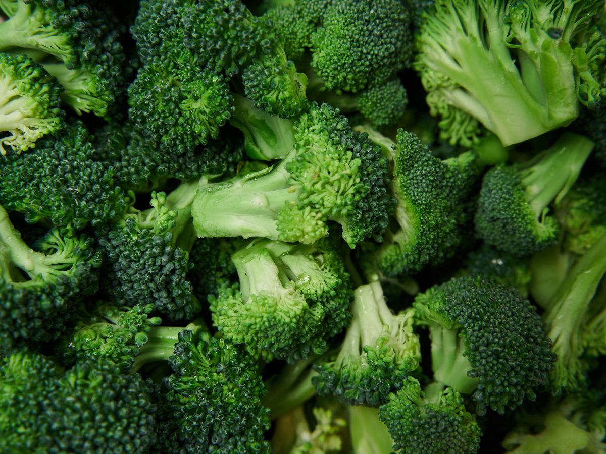 Top 6 Foods That Improve Brain Function and Memory - Photo Gallery