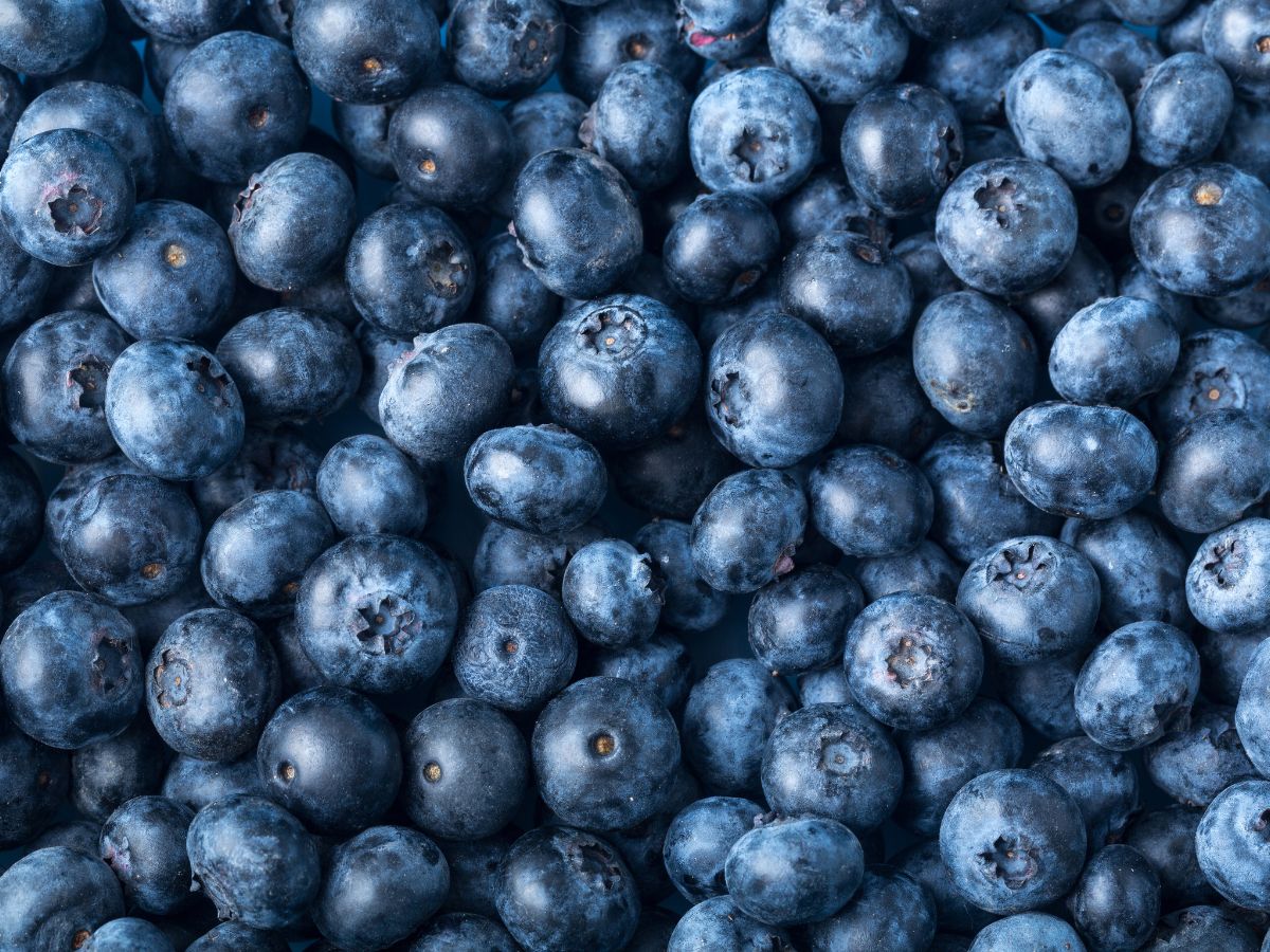 Top 6 Foods That Improve Brain Function and Memory - Photo Gallery