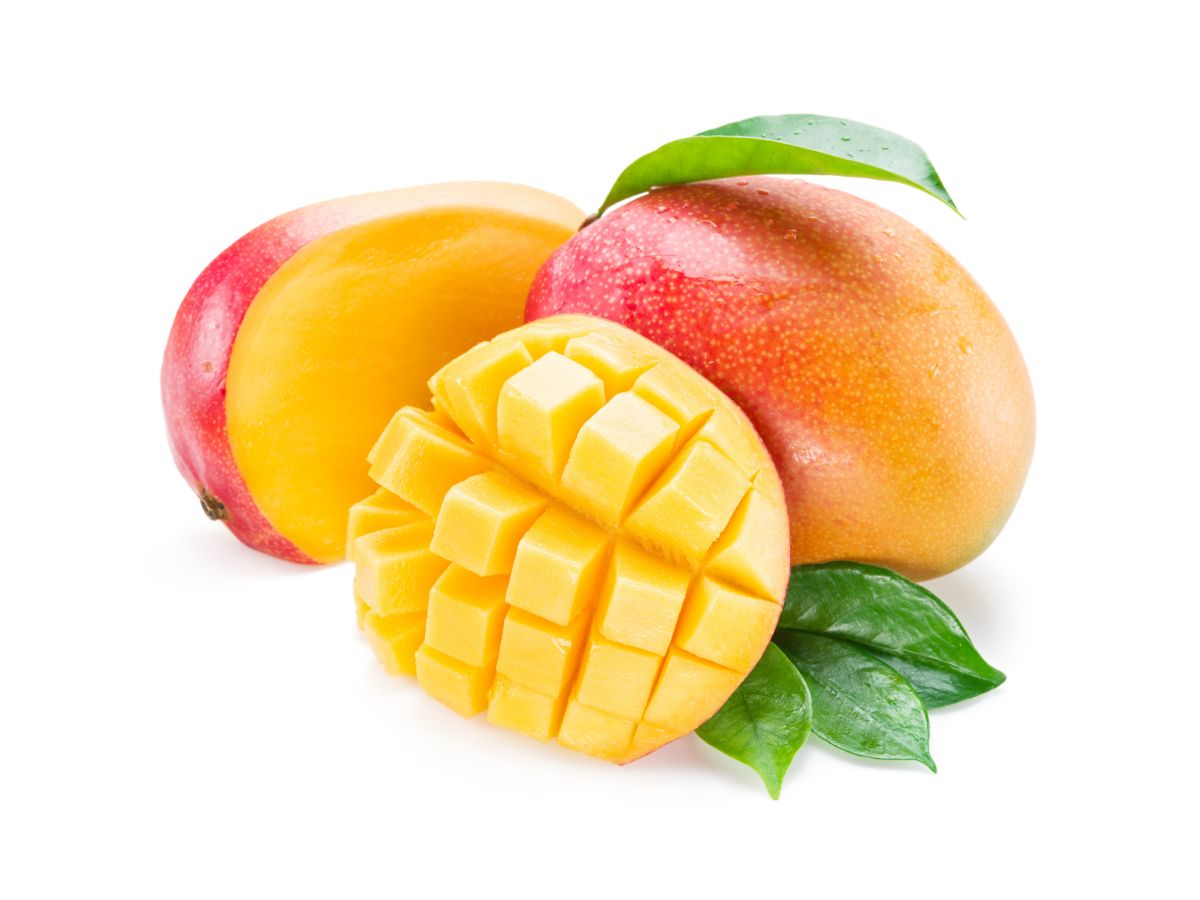 shubhanshu-shuklas-astronaut-food-ideas-from-mango-nectar-to-moong-dal-ka-halwa Shubhanshu Shukla’s Astronaut Food Ideas: From Mango Nectar to Moong Dal Ka Halwa - Photo Gallery