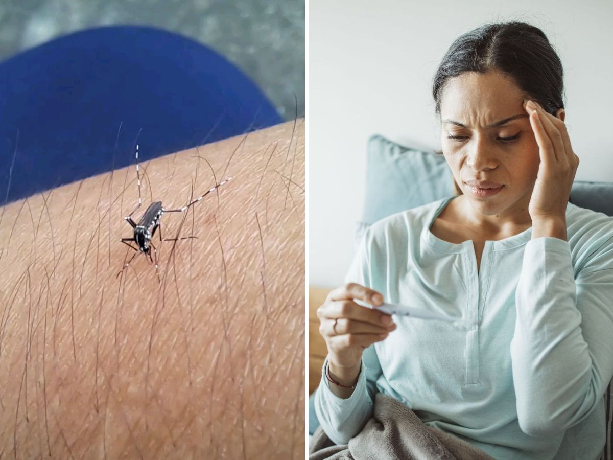 in-pics-from-dengue-to-skin-allergies-here-are-infections-and-allergies-that-spread-in-monsoon-season Chikungunya is common during the monsoon (Image Credit- Pinterest) - Photo Gallery