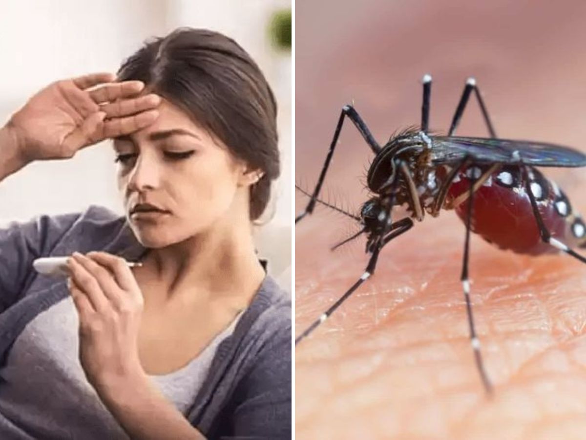 in-pics-from-dengue-to-skin-allergies-here-are-infections-and-allergies-that-spread-in-monsoon-season Malaria cases peak during the rainy season (Image Credit- Pinterest) - Photo Gallery