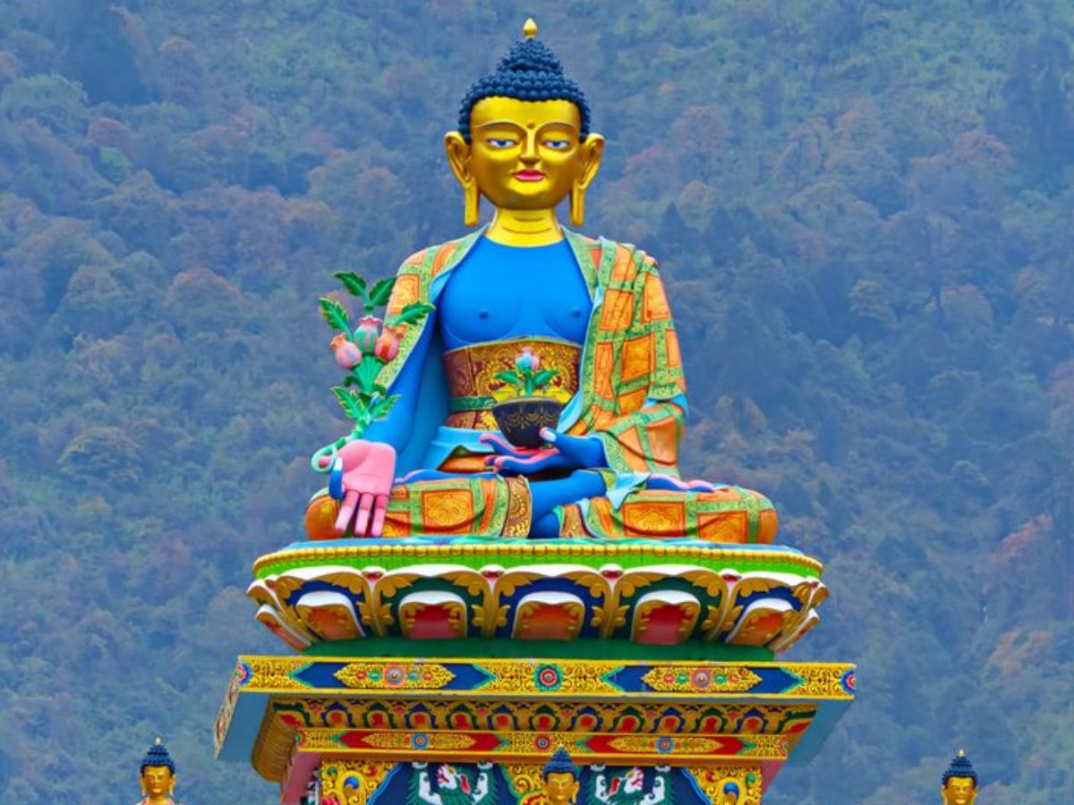 indian-top-states-with-largest-forest-cover-discover-the-top-7 Indian Top States With Largest Forest Cover: Discover the Top 7 - Photo Gallery