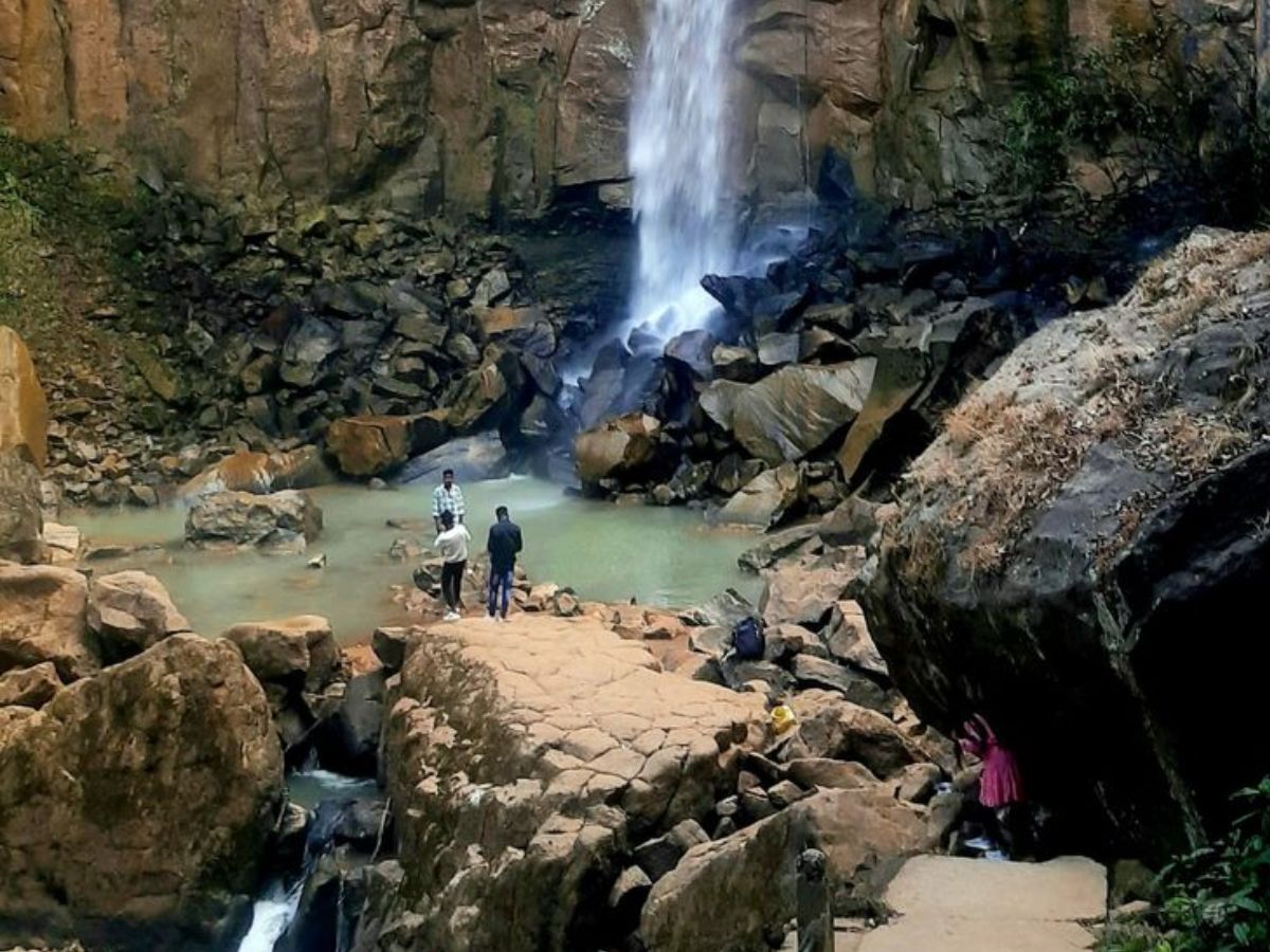 indian-top-states-with-largest-forest-cover-discover-the-top-7 Indian Top States With Largest Forest Cover: Discover the Top 7 - Photo Gallery