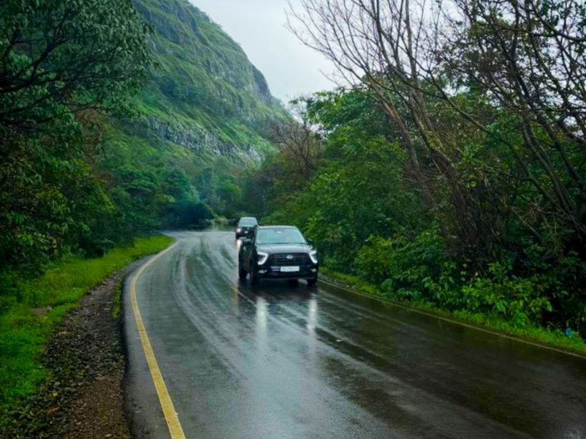 indian-top-states-with-largest-forest-cover-discover-the-top-7 Indian Top States With Largest Forest Cover: Discover the Top 7 - Photo Gallery