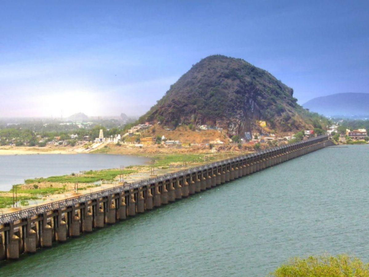 indian-top-states-with-largest-forest-cover-discover-the-top-7 Indian Top States With Largest Forest Cover: Discover the Top 7 - Photo Gallery