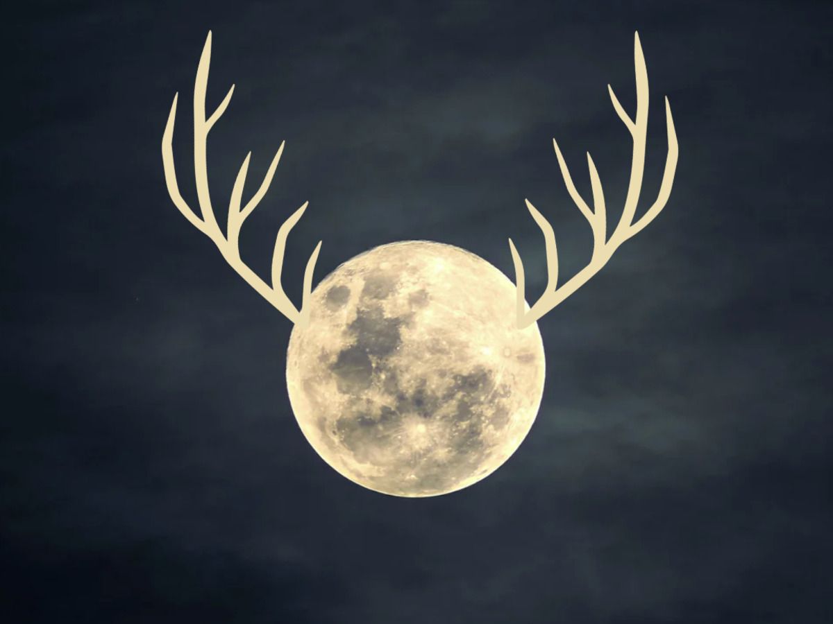the-buck-moon-when-and-how-to-watch-julys-stunning-full-moon The Buck Moon: When and How to Watch July’s Stunning Full Moon - Photo Gallery