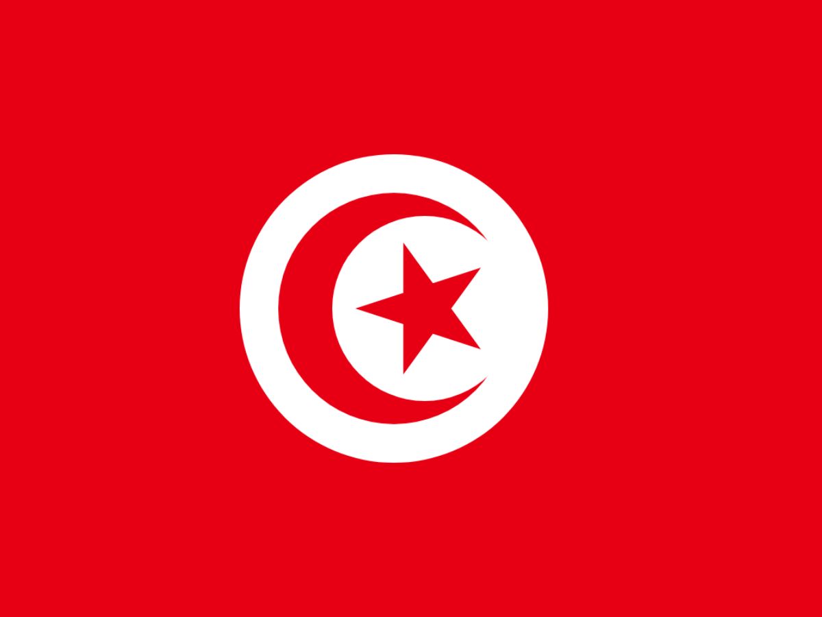 7-countries-with-crescent-moon-and-stars-on-their-flags-symbols-of-heritage-and-faith 7 Countries with Crescent Moon and Stars on Their Flags: Symbols of Heritage and Faith - Photo Gallery