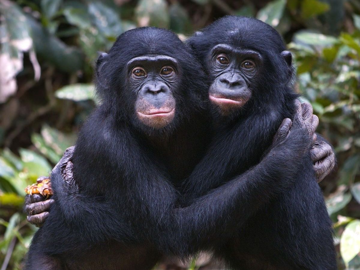 7-most-friendly-wild-animals-in-the-world-that-look-very-cute 7 Most Friendly Wild Animals In The World - Photo Gallery