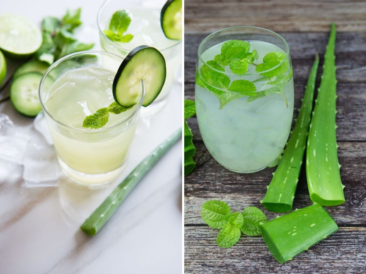 in-pics-here-are-the-top-five-powerful-detox-drinks-which-make-your-gut-healthy Aloe vera and mint water refreshing drink that helps with digestion and hydration of the body (Image Credit- Pinterest) - Photo Gallery