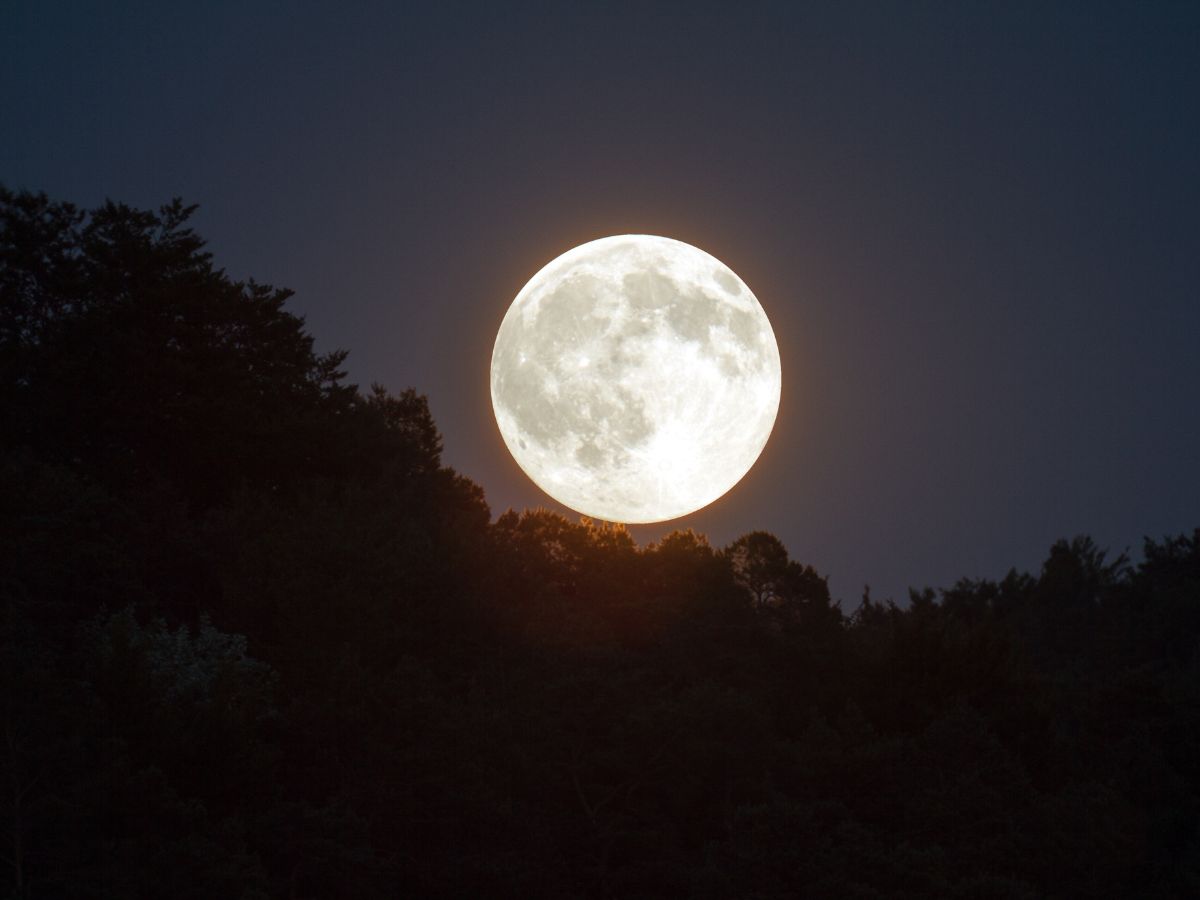 in-photos-julys-full-buck-moon-dazzles-skywatchers Image Credit - Canva - Photo Gallery