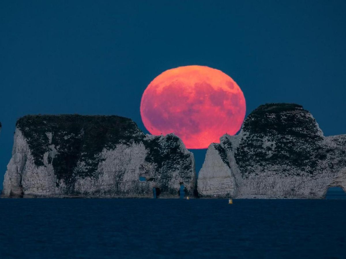 in-photos-julys-full-buck-moon-dazzles-skywatchers Image Credit - BBC - Photo Gallery
