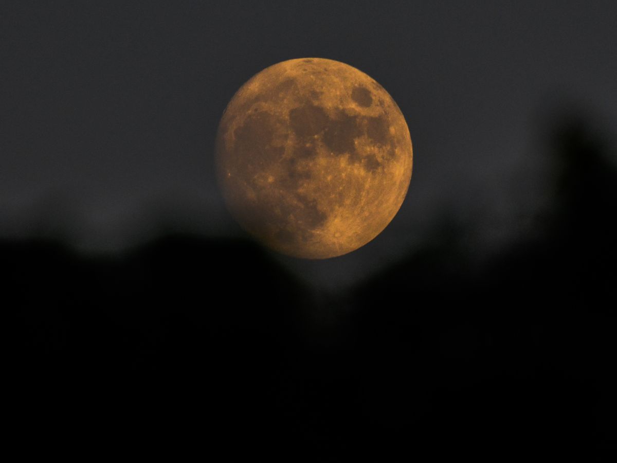 in-photos-julys-full-buck-moon-dazzles-skywatchers Image Credit - Canva - Photo Gallery