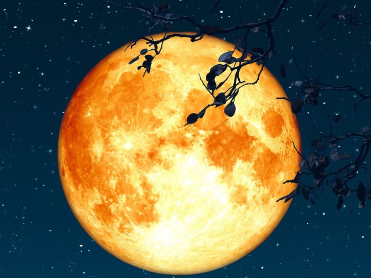 in-photos-julys-full-buck-moon-dazzles-skywatchers Image Credit - Edinburgh News - Photo Gallery