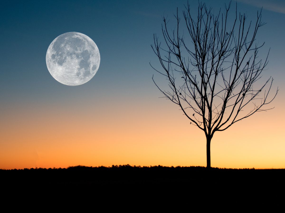 in-photos-julys-full-buck-moon-dazzles-skywatchers Image Credit - Canva - Photo Gallery