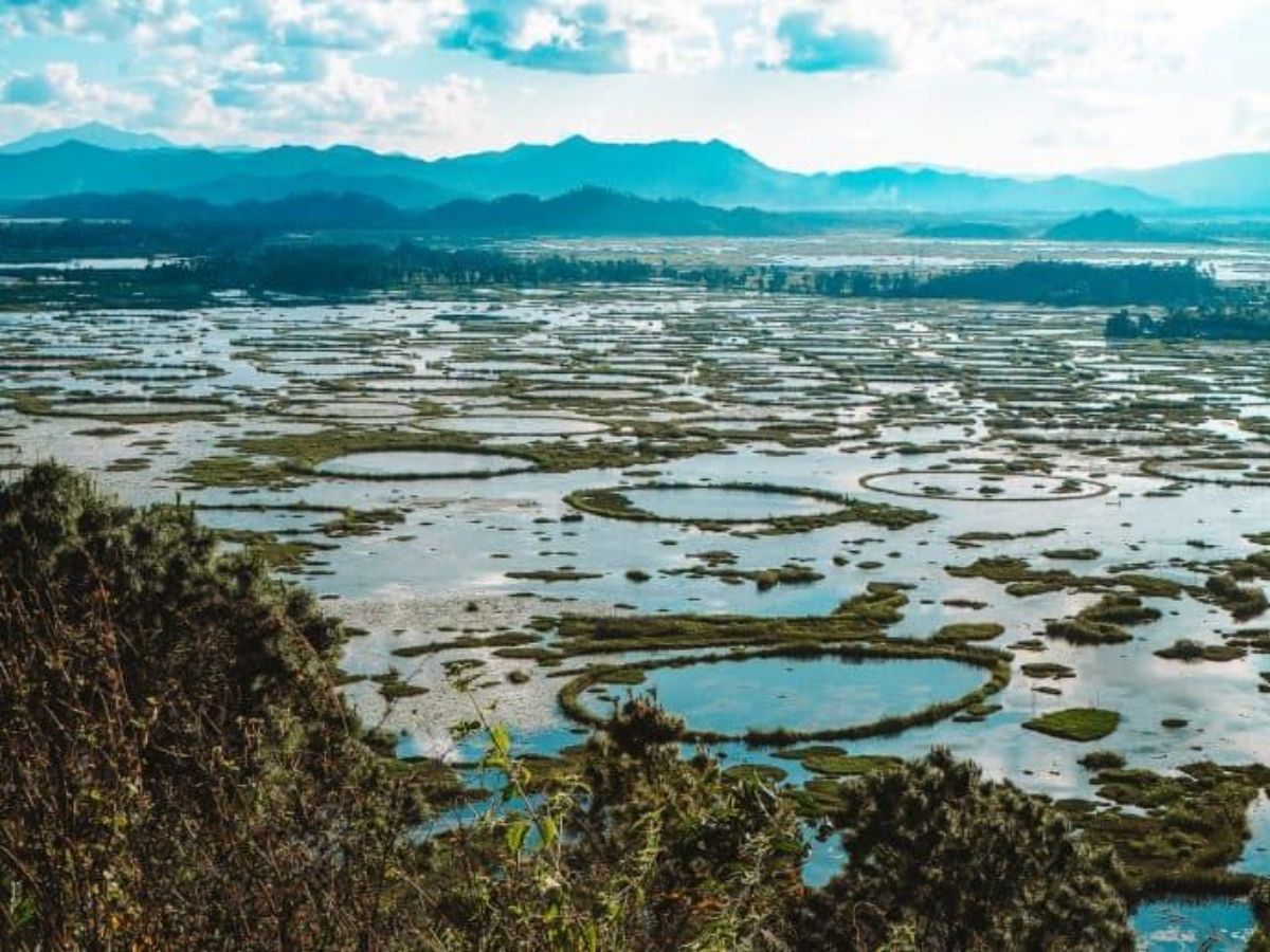 in-pics-5-national-parks-in-north-east-you-should-plan-to-visit Keibul Lamjao National Park, Manipur(Image Credit- Pinterest) - Photo Gallery