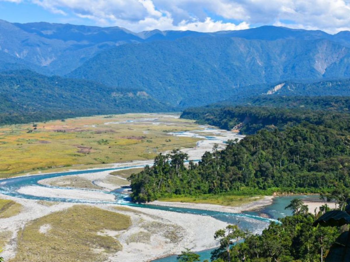 in-pics-5-national-parks-in-north-east-you-should-plan-to-visit Namdapha National Park, Arunachal Pradesh(Image Credit- Pinterest) - Photo Gallery