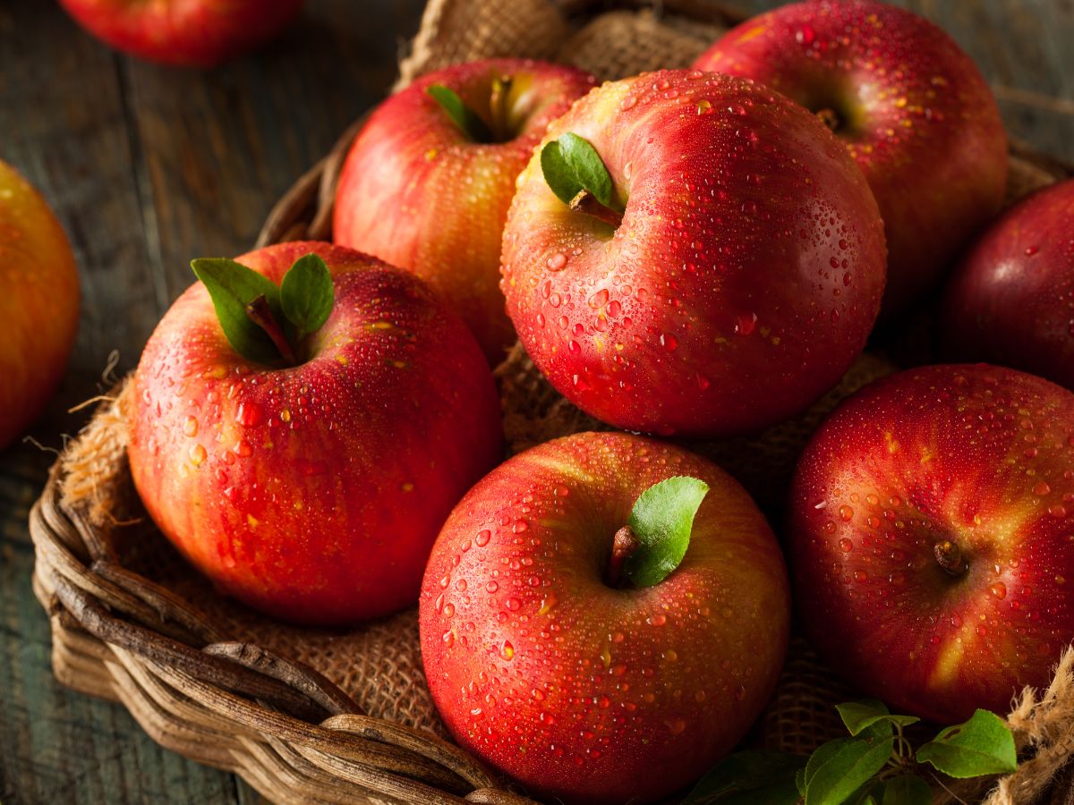 7-natural-foods-that-help-relieve-constipation-fast 7 Natural Foods That Help Relieve Constipation Fast - Photo Gallery