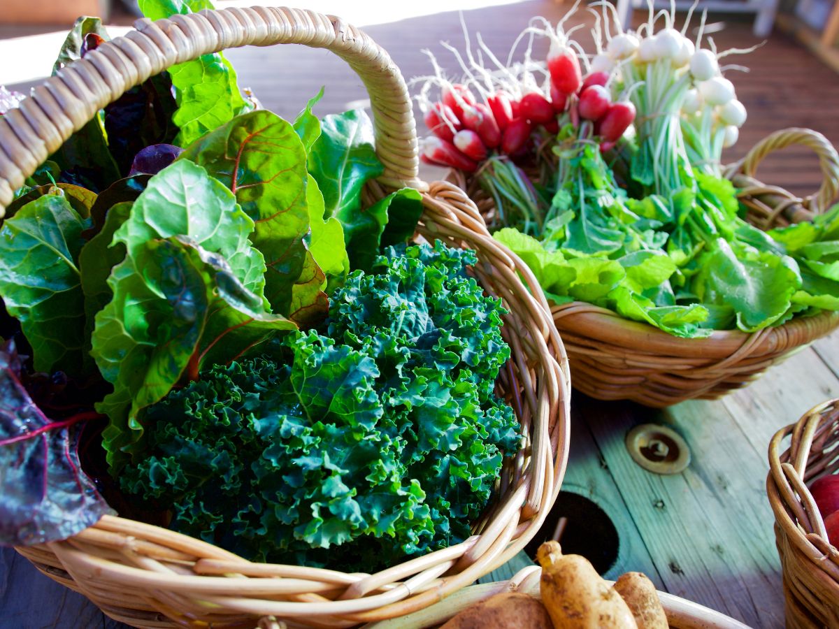 7-natural-foods-that-help-relieve-constipation-fast 7 Natural Foods That Help Relieve Constipation Fast - Photo Gallery