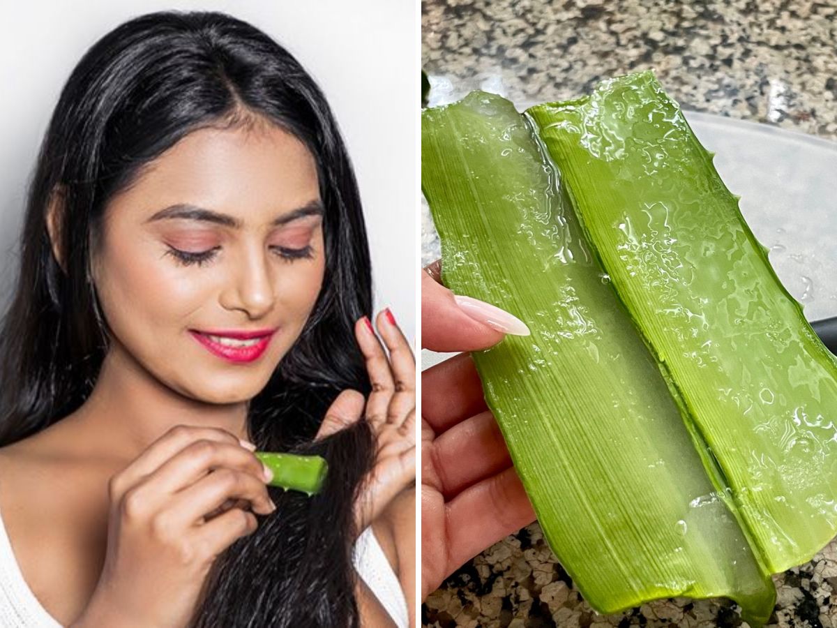 in-pics-hair-fall-worsening-in-monsoon-try-these-five-natural-remedies Aloe vera is an excellent natural remedy for hair (Image Credit- Pinterest) - Photo Gallery