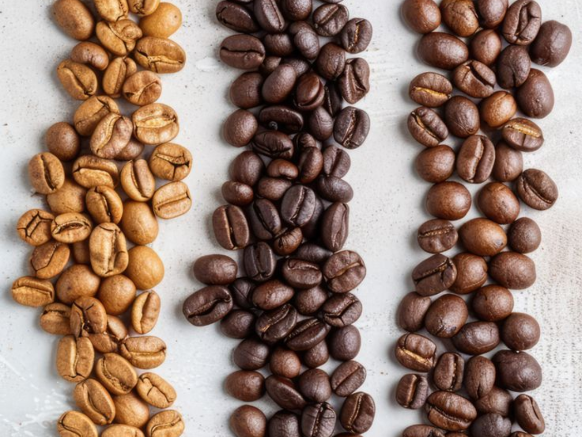 7 Coffee Questions Answered: What You’ve Always Wanted to Know About Your Daily Cup - Photo Gallery