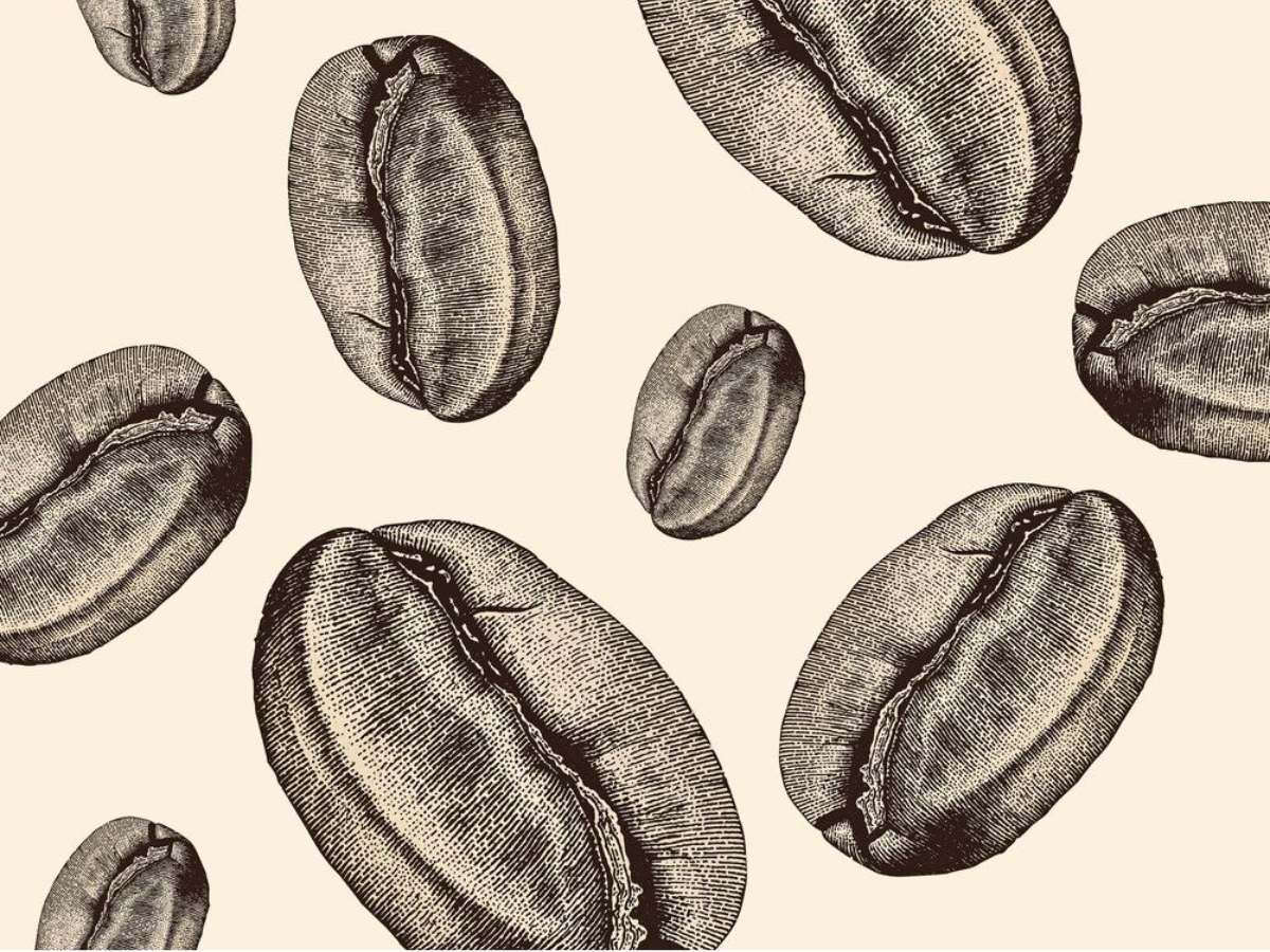 7 Coffee Questions Answered: What You’ve Always Wanted to Know About Your Daily Cup - Photo Gallery