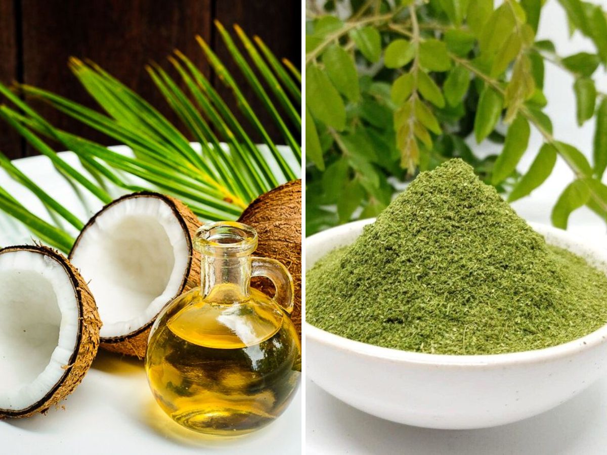 in-pics-hair-fall-worsening-in-monsoon-try-these-five-natural-remedies Coconut oil with curry leaves helps by making your scalp healthy (Image Credit- Pinterest) - Photo Gallery