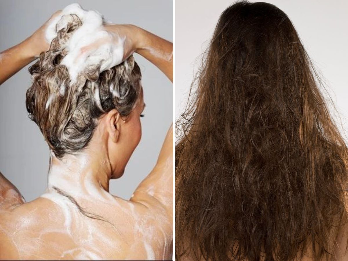 in-pics-5-hair-care-tips-you-must-adopt-to-make-yourself-look-better Don’t Overwash Your Hair(Image Credit- Pinterest) - Photo Gallery