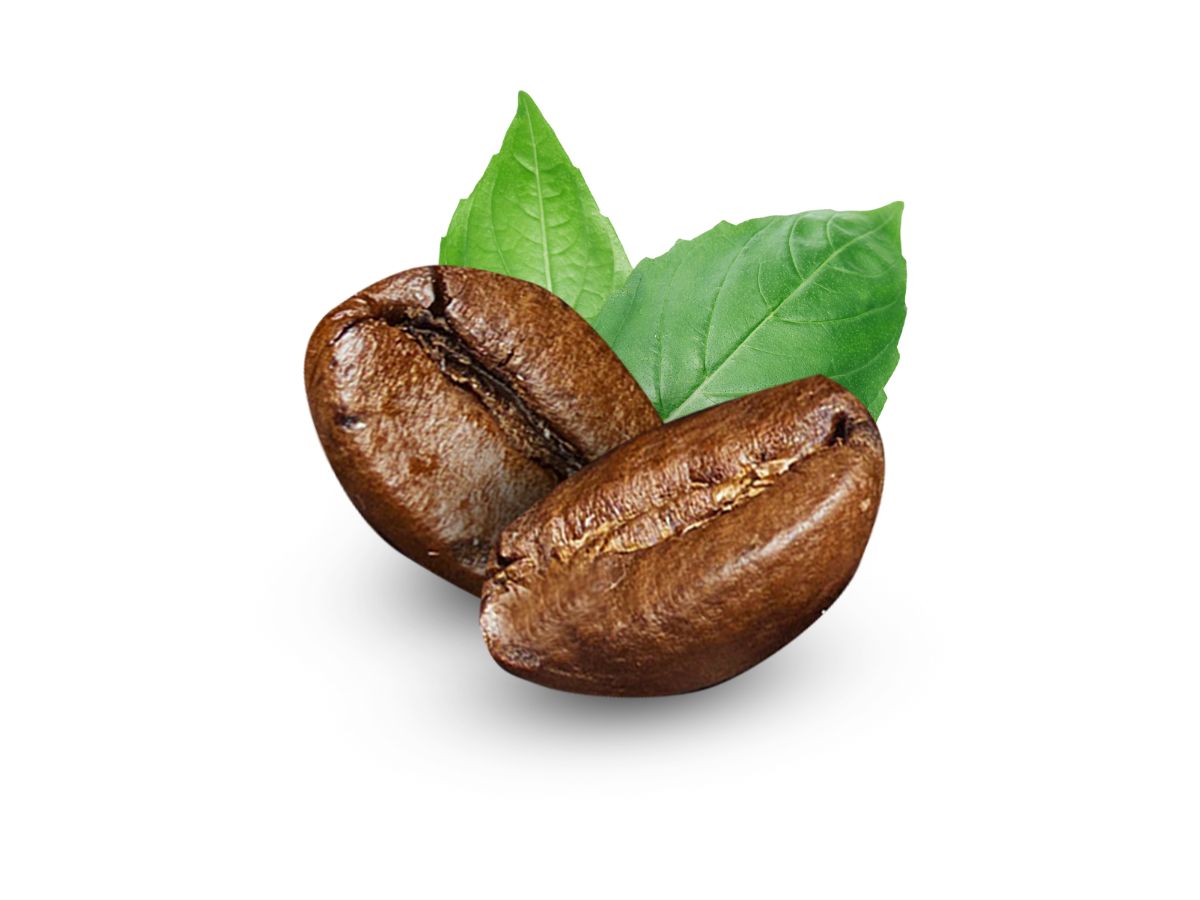 tea-rinse-vs-coffee-rinse-which-helps-faster-hair-growth Tea Rinse VS Coffee Rinse: Which Helps Faster Hair Growth? - Photo Gallery