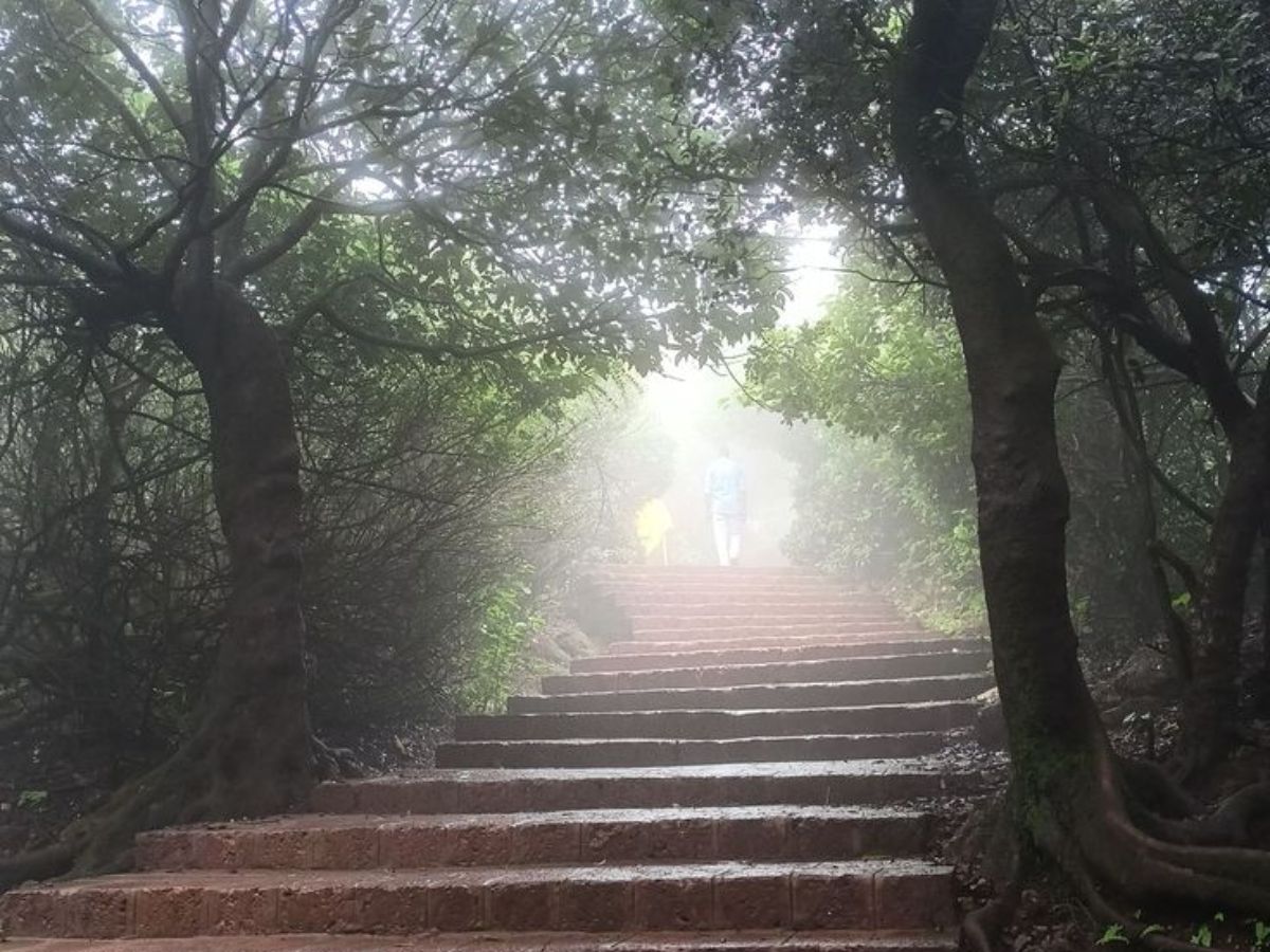 monsoon-magic-best-places-to-visit-in-south-india-during-the-rainy-season picture credit Pinterest - Photo Gallery
