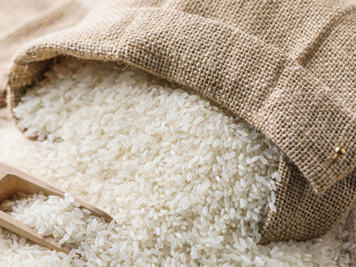 in-pics-bihars-gi-products-you-should-know-about image credit- pinterest - Photo Gallery